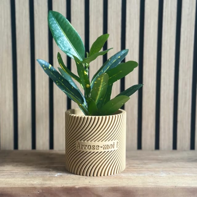 Cache-Pot Badiane