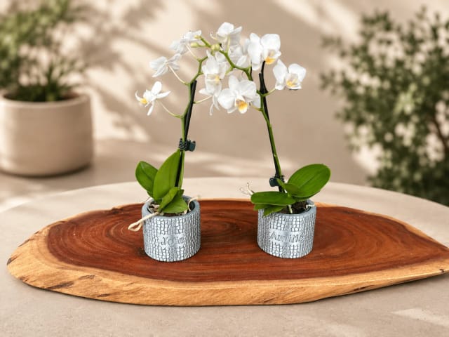 Mini cache-pot personnalisé pour orchidée et petite plante – Cadeau