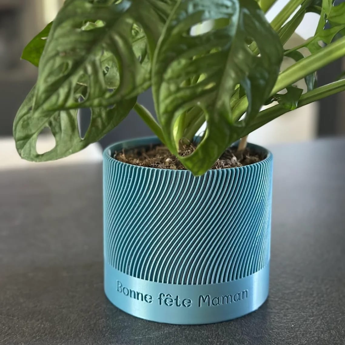 Personalised planter cover with message – Modern design